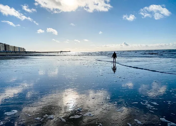 Apartment La Meremoi - With Balcony And Sea View Blankenberge